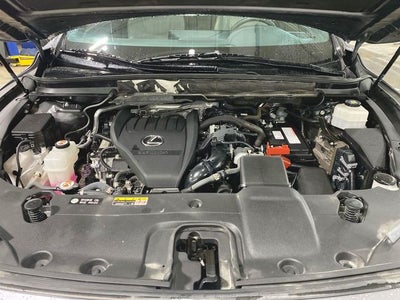 2023 Lexus RX 350 Premium Plus