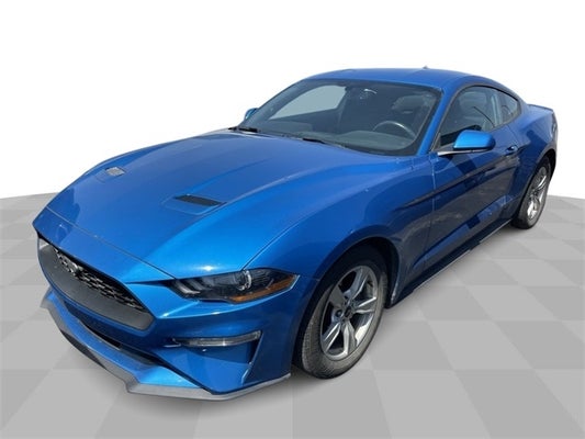 2020 Ford Mustang EcoBoost in , OH - Mark Wahlberg Chevrolet Auto Group