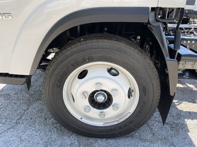 2024 Chevrolet Low Cab Forward 4500 2WD Reg Cab 150