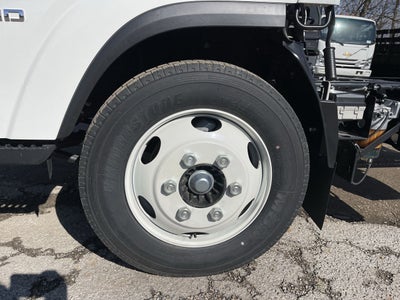 2024 Chevrolet Low Cab Forward 5500 HD 2WD Reg Cab 176